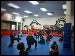Image result for Elite Force Martial Arts Fort Lauderdale
