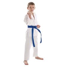 Image result for Bytomic Taekwondo Great Missenden