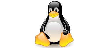 Image result for linux tux