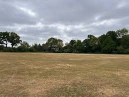 Image result for Downe Cricket Club