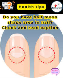 Image result for lunula nail