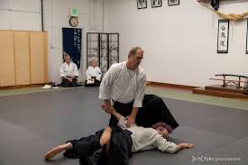Image result for Moslin & Dewandre Aiki Dojo