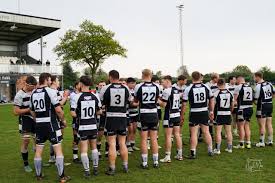 Image result for Luctonians Cricket Club