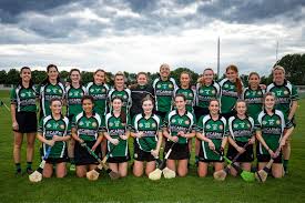 Image result for Green Isle Camogie Club - Players Wanted!