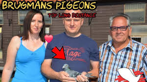 Image result for Abbeyton & Broomfield Racing Pigeons