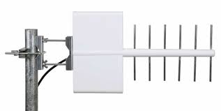 Image result for digitenne yagi