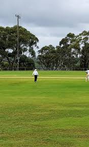Image result for Hornsea Cricket Club