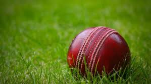 Image result for Attenborough Cricket Club