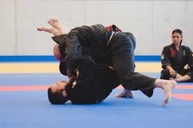 Image result for Association Of Sport Martial Arts
