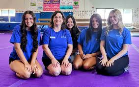 Image result for Mk Springers Gymnastics Club