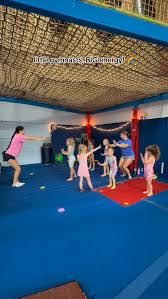 Image result for Tessaro Gymnastics Club