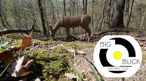 Image result for Buckland Archers