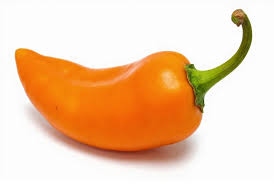 Afbeeldingsresultaat voor orange habanero hot pepper