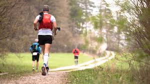 Image result for Ipswich Jaffa Athletics Club