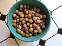 Attēlu rezultāti vaicājumam “Prunus domestica subsp. domestica fruit”