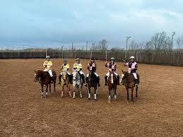 Image result for Cambridge and Newmarket Polo Club