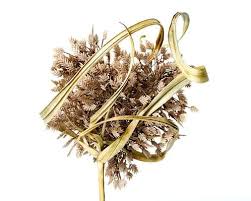 Attēlu rezultāti vaicājumam “Plantago lanceolata fruit”