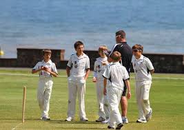 Image result for Bideford/Littleham/Westward Ho Cricket Club