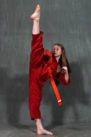 Image result for Action Karate