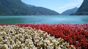 Image result for "Parco Ciani"