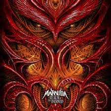 Image result for Reparudasu