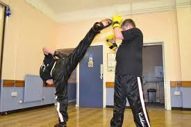 Image result for Vipers Thai/Kickboxing School