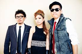 Image result for RAM WIRE