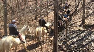 Image result for Old Park Riding Stables