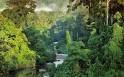 NerdTestscom Quiz  How well do you know Buddhism