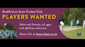 Image result for Bradford Abbas Cricket Club