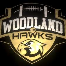 Image result for Hedingham Hawks Youth Football Club