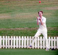 Image result for Whittington Cricket Club