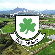 Image result for St Patrick`s Gac, Saul