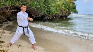 Image result for ZOKU SHOTOKAN KARATE (Baldock)