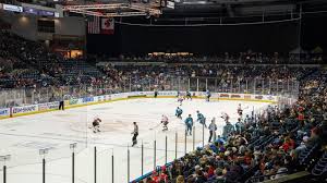 Image result for Stockton Ladies Hockey Club