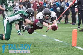 Image result for Cardiff Titans