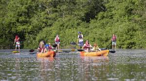 Image result for Fife Canoeing Activities Group