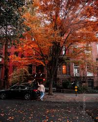 Image result for $$fall_akte__ort$$