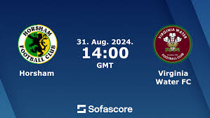 Image result for Virginia Water Fc