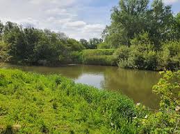 Image result for CALPAC Angling Club