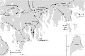 Attēlu rezultāti vaicājumam “Vouauxiomyces santessonii”