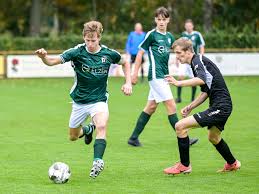 Image result for Heemtuin Rucphen