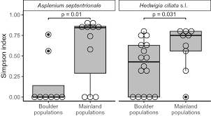 Attēlu rezultāti vaicājumam “Hedwigia ciliata sporophyte”