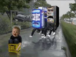 Image result for Shay Laren