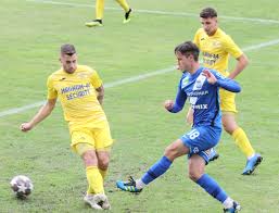 Image result for sényő