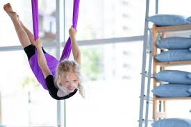 Image result for Aero Gymnastics Club