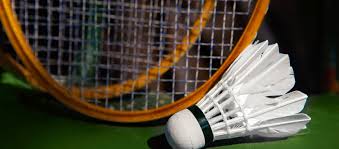 Image result for Beginners and Intermediate Badminton