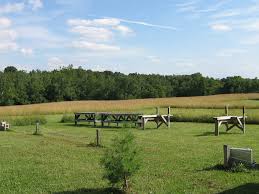 Image result for Reading & District Model Aircraft Club