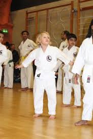 Image result for Kenshukai Karate
