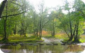 Image result for Cannock Cc